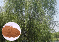 Salicin 98% Antifungal উদ্ভিদ এক্সট্র্যাক্ট হোয়াইট Willow বারক এক্সপ্রেস মুছা মাথা ব্যাথা