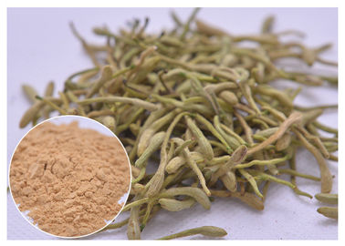 ৫%, ২৫% Lonicera japonica এক্সট্রাক্ট হানিসাকল ফুলের গুঁড়া