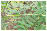কার্ডিওভাসকুলার রোগ উত্স প্রাকৃতিক খাদ্যতালিকাগত সাপ্লিমেন্টস Astragalus এক্সট্র্যাক্ট এস্ট্রাগালোসাইড IV