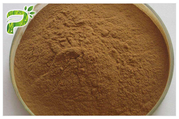 বাদামী হলুদ সূক্ষ্ম পাউডার জিনসেং রুট এক্সট্র্যাক্ট 20 ((R) -জিনসেনোসাইড Rh2/Rg3 ক্যান্সারের বিরুদ্ধে